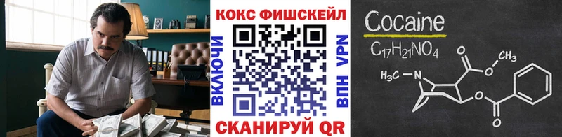 Купить закладки  Кинель  COCAIN Эквадор 