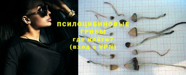 ECSTASY Гусиноозёрск