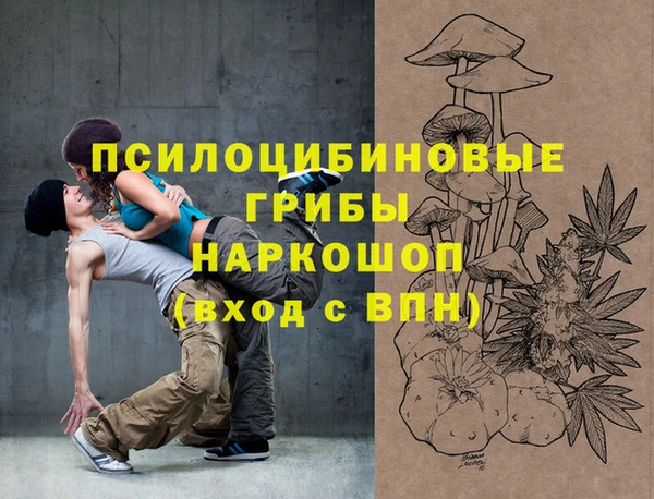 ECSTASY Гусиноозёрск