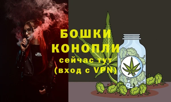 jwh Гусь-Хрустальный